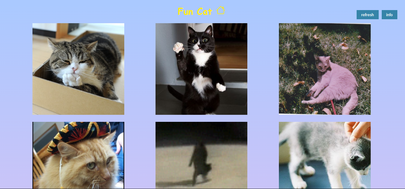 fun cats webpage